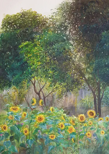 黄日香,水彩,农场的向日葵,A12艺术空间,A12线上艺廊