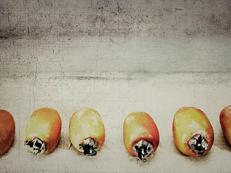 陳志駒 ,攝影,待熟的柿子,A12藝術空間,A12線上藝廊
